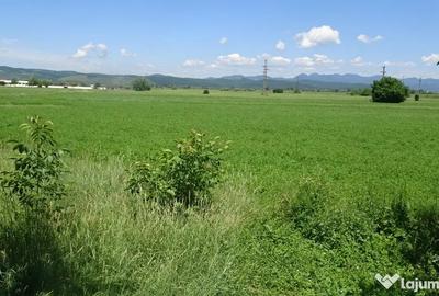 Teren în Hărăului - 3