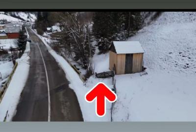 Teren de 32589 mp, în Pojorâta - 12