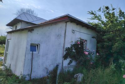 Casă cu 3 camere în Central