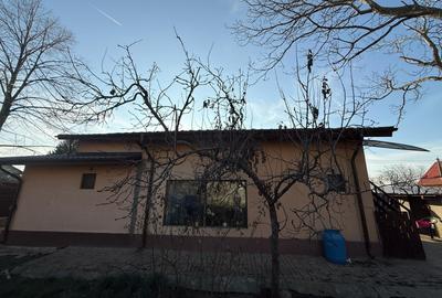 Casă individuală cu 6 camere cu Teren 1359 Mp în Glina - 2