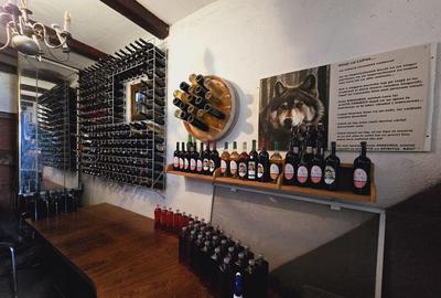 Teren de 80000 mp, în Covăsinț - 4