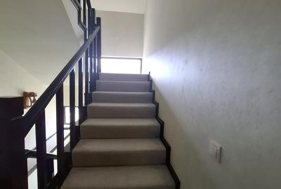 Daesti, jud. Valcea - 12