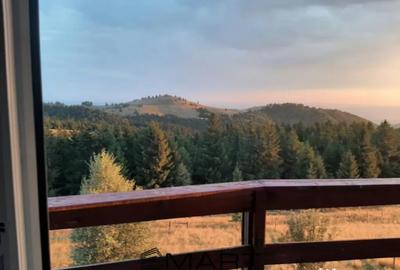 Casă cu 5 camere cu Teren 2000 Mp în Paltin - 11