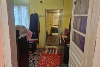 Casă individuală cu 3 camere cu Teren 2850 Mp în Alunișu - 12