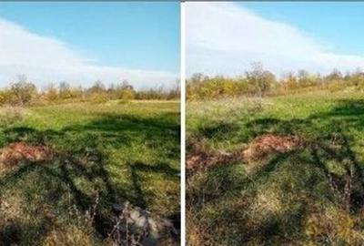 Teren Ungheni, ID: R2832820 - 11