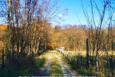 PADURE LANGA ORAS, ACCES BUN, IDEALA PENTRU ACTIVITATI DE AGREMENT - 8