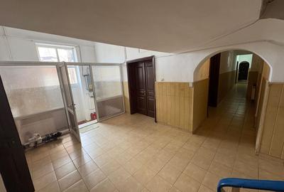Casă individuală cu 10 camere cu Canalizare în Tineretului - 10