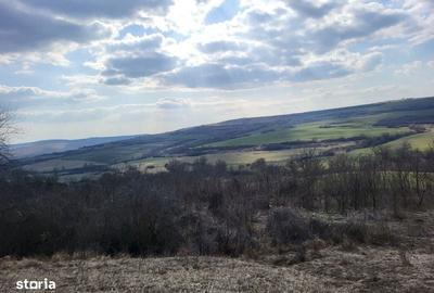 Teren de 11000 mp, în Ștrand - 5