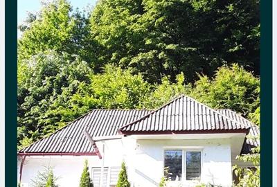 Casă cu 3 camere cu Teren 500 Mp în Central - 1