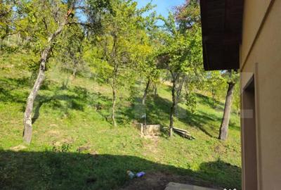 Casă cu 7 camere cu Teren 3000 Mp în Central