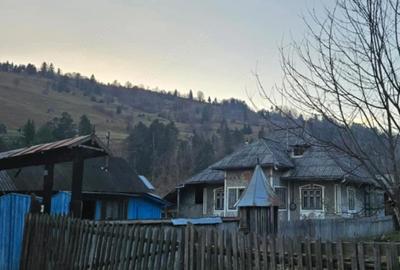 Casă cu 2 camere în Pârâul Pântei - 1
