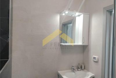 Penthouse 2 camere de inchiriat zona Micalaca - 4