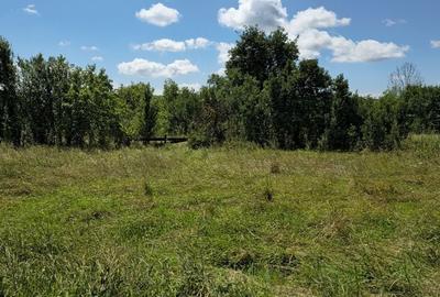 Casă cu 3 camere în Buduș - 4