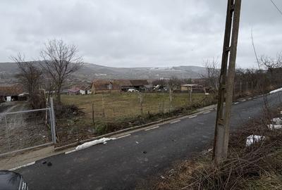 Spațiu comercial, în Păuca - 2