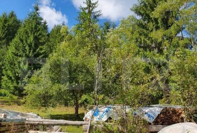 Teren de 3015 mp, în Arieșeni - 2