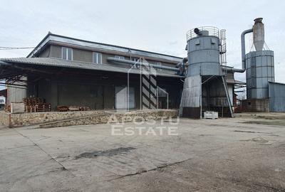 Spațiu industrial, de 13,917 mp, în Vladimirescu - 5