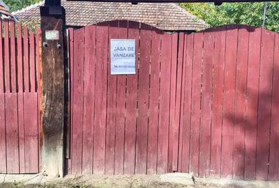 Casa de vanzare in ilovat, mehedinti - 2