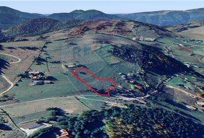 Teren de vis in Fundata 3868mp, la inaltimea sufletului tau - 5