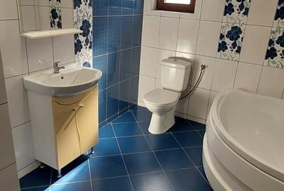 360 IMOBILIARE pune în vânzare o casă individuală P+M+Pod în Dumbrăvița - 11