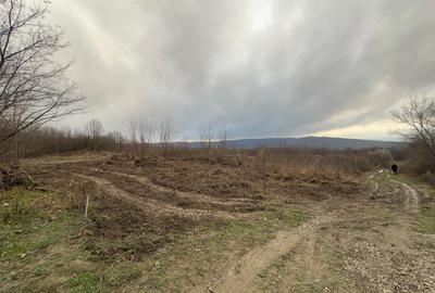 Teren Construcții intravilan de 748 mp, în Bârnova - 18