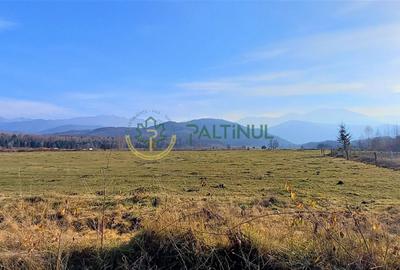 Teren intravilan, 1000 mp cu PUZ - locatie deosebita, Sibiu - Valea Avrigului - 4