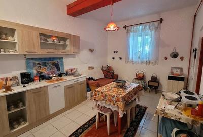 Casă cu 3 camere cu Teren 1434 Mp în Satchinez - 2