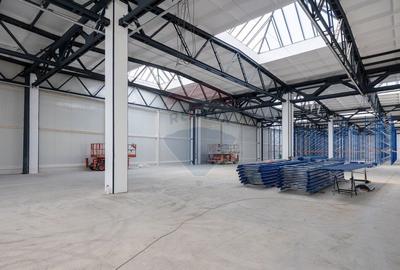 Spațiu industrial, de 500 mp, în Astra - 1