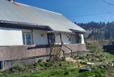 Vând casa batraneasca și teren 3892m - 7
