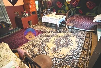 CASA traditionala BICAZU ARDELEAN + teren extravilan 1,6 hectare - 8