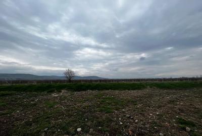 Teren Intravilan 1900mp, Zona D Targul Obor - 2