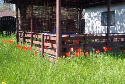 Casă cu 3 camere cu Teren 1000 Mp în Central - 3