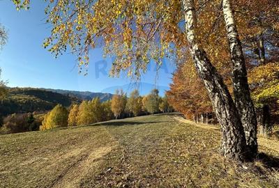 Oportunitate de investiție ! Teren de vis în Pestera - 125.370 mp - 29