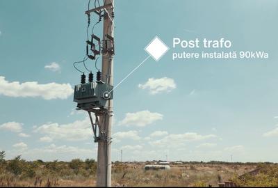 Teren intravilan cu suprafața de 20000mp centura București - 3