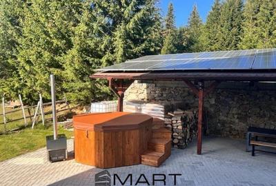 Pensiune 7 camere plus apartament zona Platos Paltinis - 8