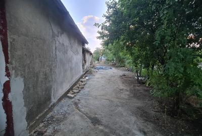 Casă cu 3 camere cu Teren 2100 Mp în Scorțaru Nou - 7