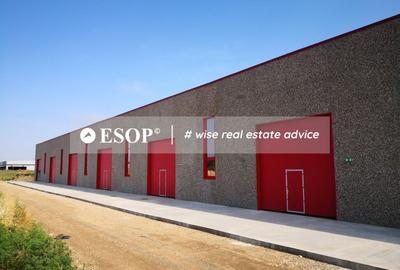 Hale industriale, parc modern, Rudeni, Chitila, Ilfov- ID 15462 Hale industriale, parc modern, Rudeni, Chitila, Ilfov- ID 15462 - 11