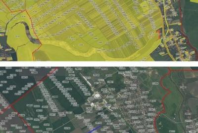 Teren de 4300 mp, în Smârdioasa - 3