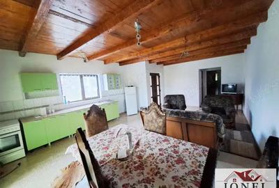 Casa noua de vanzare in Galda de jos - Benic - 2