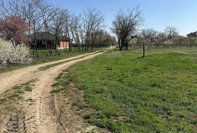 Spațiu comercial, în Gepiu - 4