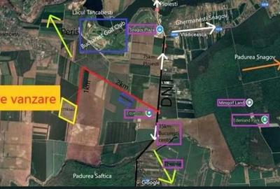 Ocazie- Teren Intravilan de Vanzare- Peris Snagov- Doar 13 euro/mp - 1