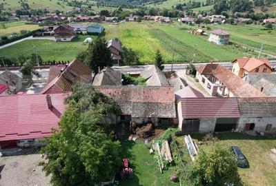 Doua case + anexa, teren 1655mp, Vama Buzaului (Acris) - 2