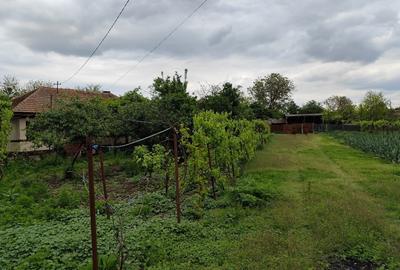 Casă individuală cu 5 camere cu Teren 2884 Mp în Micșunești-Moară - 5