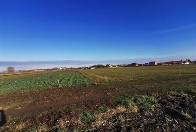 Teren intravilan in Bors cu front la 2 strazi. - 4