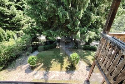 Cabana 5 camere Salard - 6