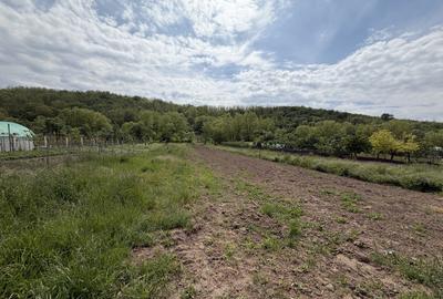 Teren Construcții intravilan de 3514 mp, în Ciugud - 1