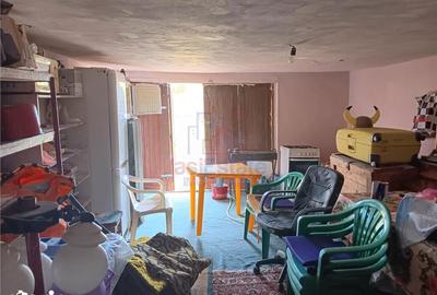 Casă cu 4 camere cu Teren 4239 Mp în Scobinți - 8