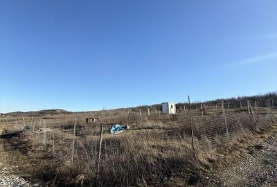 Teren de 400 mp, în Tomești