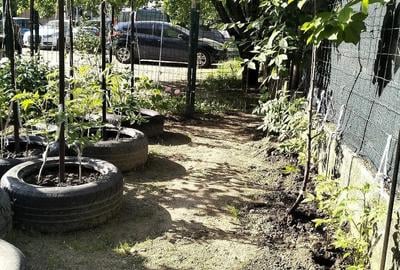 Apartament cu 2 camere decomandat în Sisești - 1