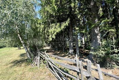 Platou montan, 6631 mp intravilan, electricitate,  langa pădure - 10