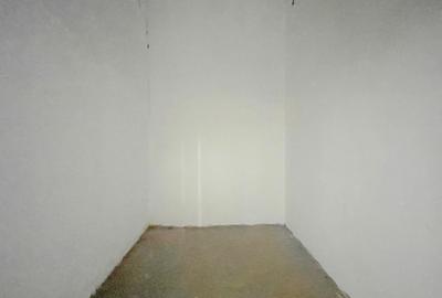 Hale industriale de inchiriat in zona Aradului - 12